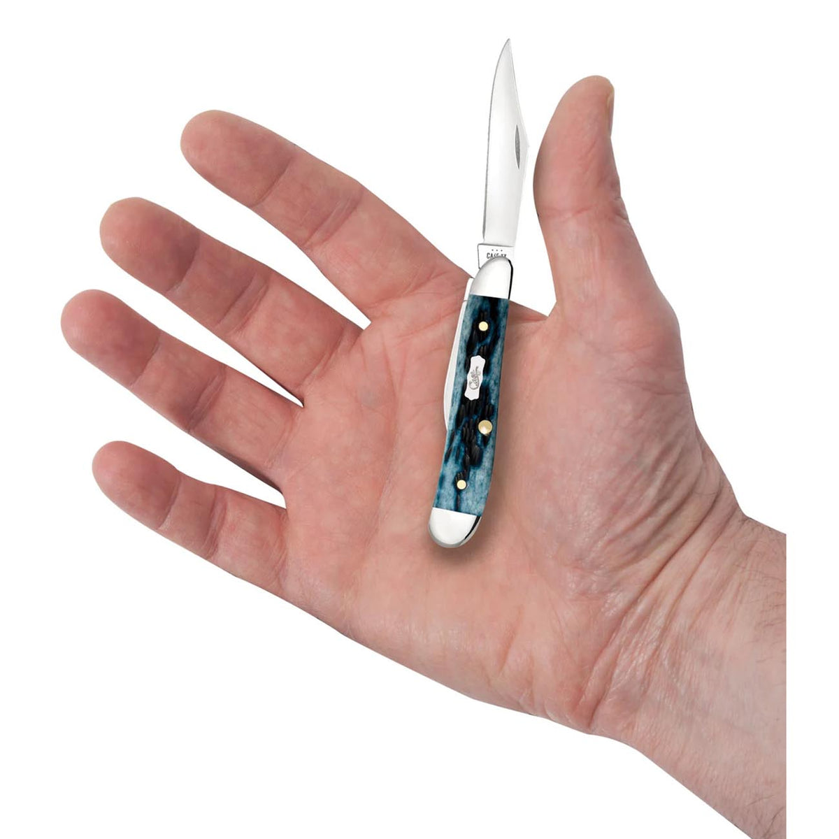Case Knives Pocket Worn Peach Seed Jig Mediterranean Blue Bone Peanut