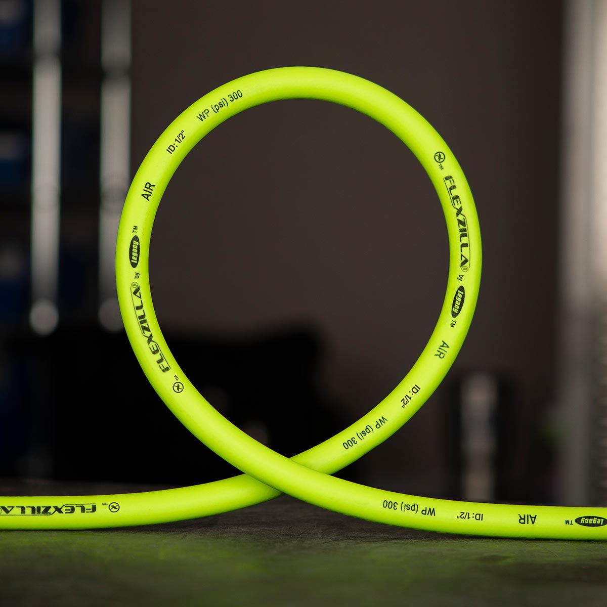 Flexzilla Whip Hose with Swivel 1/2" x 2'