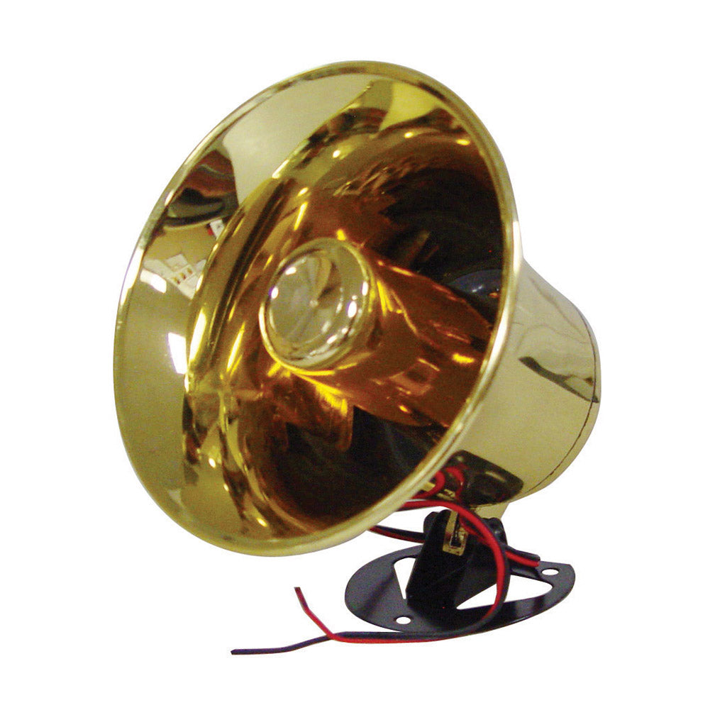 XXX Audio 5-1/4” PA Speaker E&E Style Horn with Brass Color