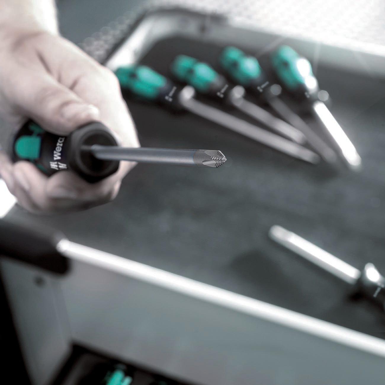 Wera TORX Screwdriver Set with Hold Function and Rack (6-Piece Set)