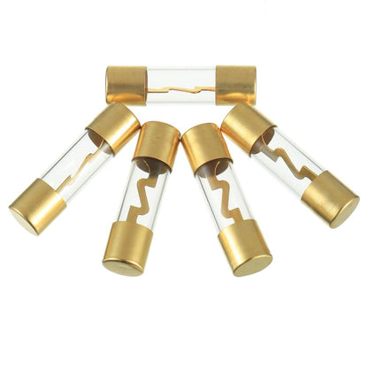 Xscorpion AGU 100 Amp Fuse – Gold Plated Ends (5 pack)