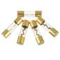 Xscorpion AGU 100 Amp Fuse – Gold Plated Ends (5 pack)