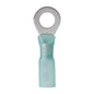 Ancor 16-14 1/4 Ring Terminal Wtron Heat Shrink Blue 25 Pack