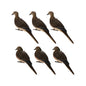 Avian-X AXP Full-Body Dove Decoys (6-Pack)