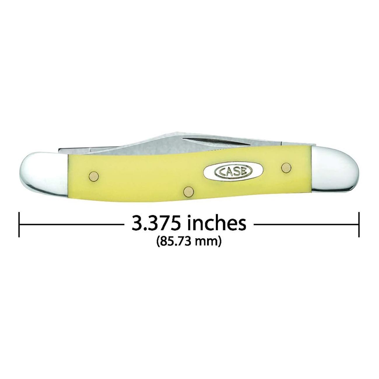 Case Knives Pen Folding Pocket Knife
