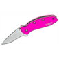 Kershaw Chive Assisted Open Liner Lock Drop Point Blade EDC Folding Pocket Knife - Pink