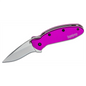 Kershaw Scallion Assisted Open Inset Liner Lock Drop Point Blade EDC Folding Pocket Knife - Purple