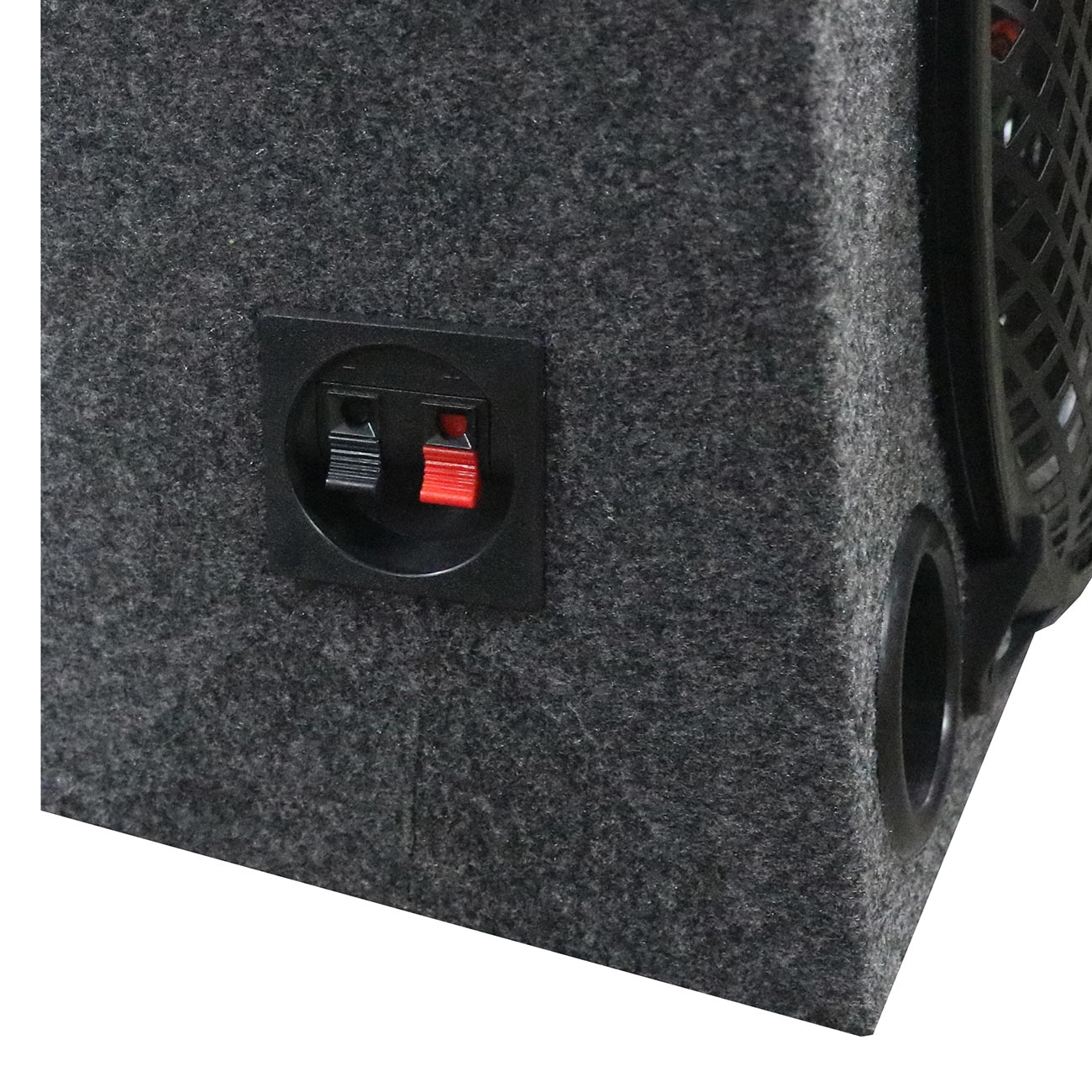 WOOFER BOX DUAL 10" XXX 2-WAY LOADED ANGLE STYLE; 300WATTS