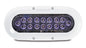 OceanLED X16 X-Series Midnight Blue LED