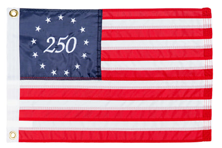 Taylor Made 12in x 18in Wtron 250 Years of Freedom American Flag